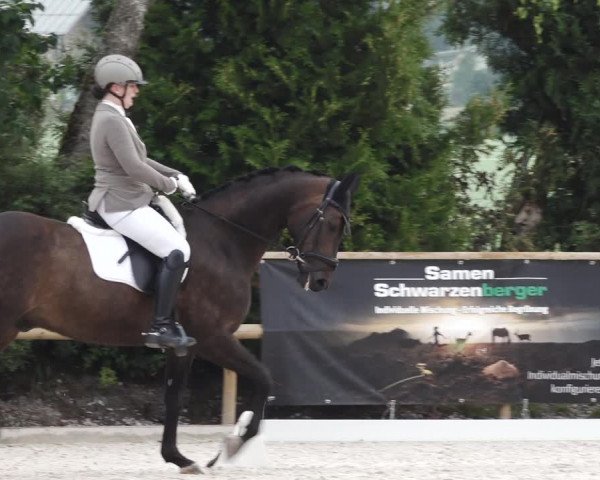 Reitturnier St. Ulrich am Pillersee 2023