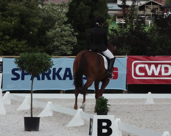 Reitturnier St. Ulrich am Pillersee 2023
