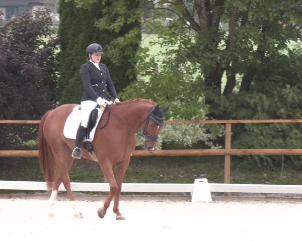 Reitturnier St. Ulrich am Pillersee 2023