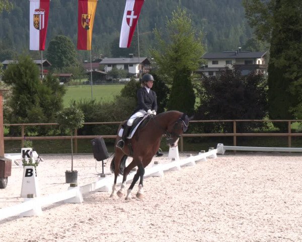 Reitturnier St. Ulrich am Pillersee 2023