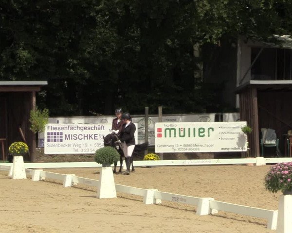 Reitturnier Meinerzhagen 2023