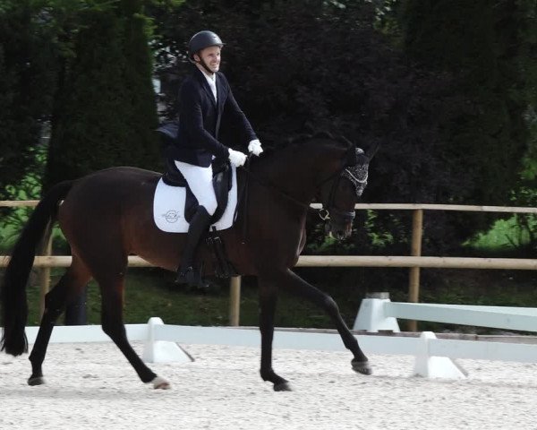Reitturnier St. Ulrich am Pillersee 2023