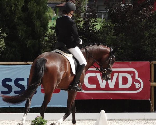 Reitturnier St. Ulrich am Pillersee 2023
