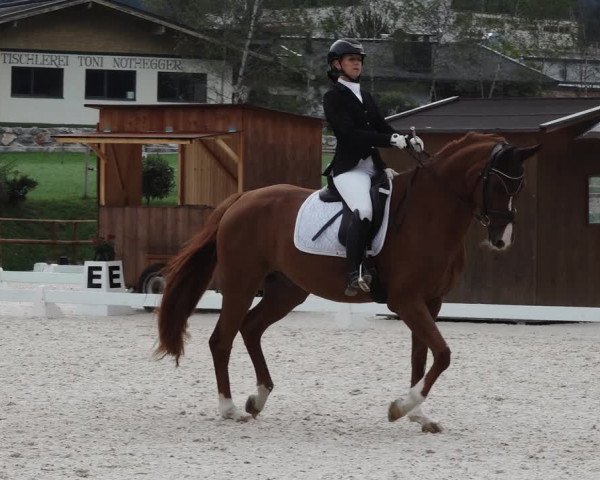 Reitturnier St. Ulrich am Pillersee 2023