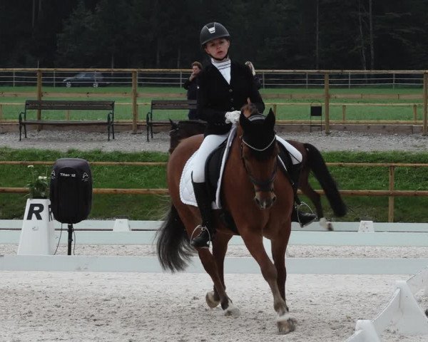 Reitturnier St. Ulrich am Pillersee 2023