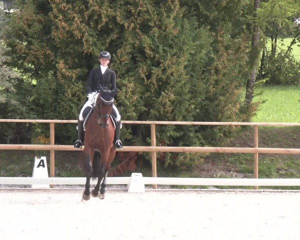 Reitturnier St. Ulrich am Pillersee 2023