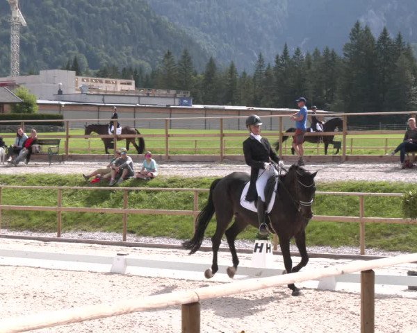 Reitturnier St. Ulrich am Pillersee 2023