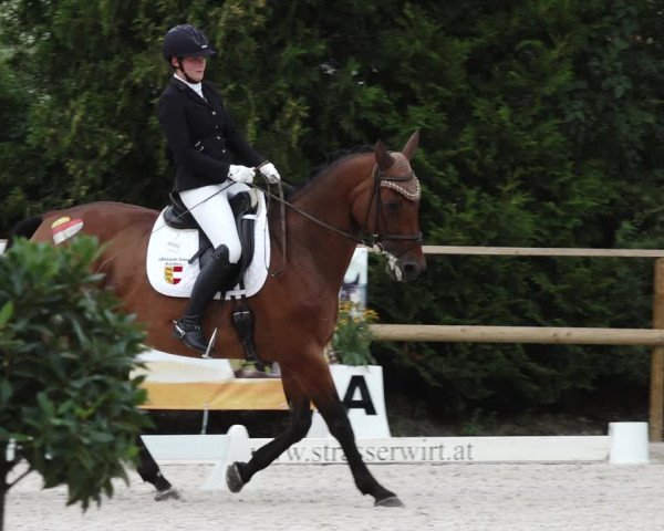Reitturnier St. Ulrich am Pillersee 2023