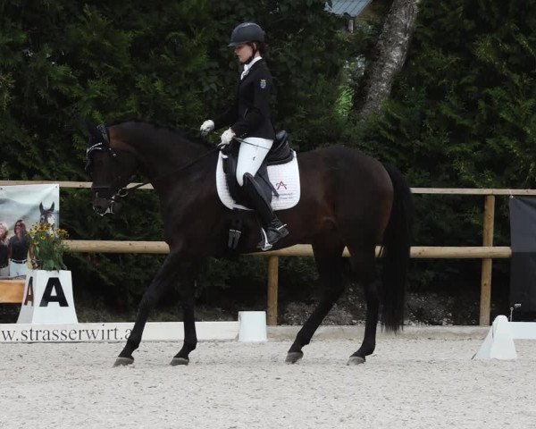 Reitturnier St. Ulrich am Pillersee 2023