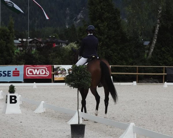 Reitturnier St. Ulrich am Pillersee 2023