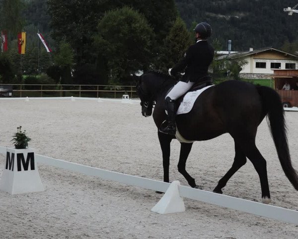 Reitturnier St. Ulrich am Pillersee 2023