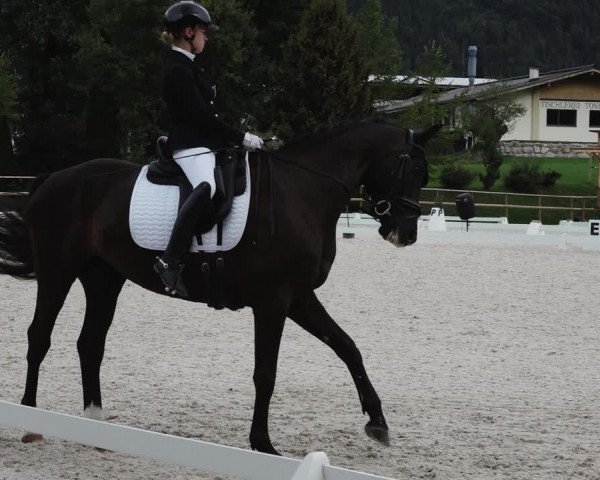 Reitturnier St. Ulrich am Pillersee 2023
