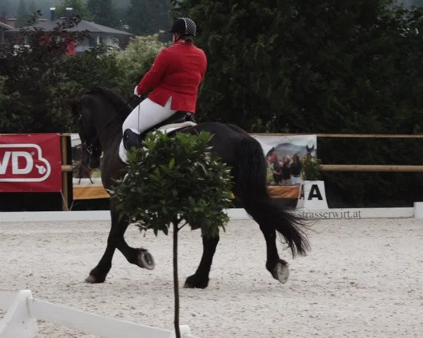 Reitturnier St. Ulrich am Pillersee 2023