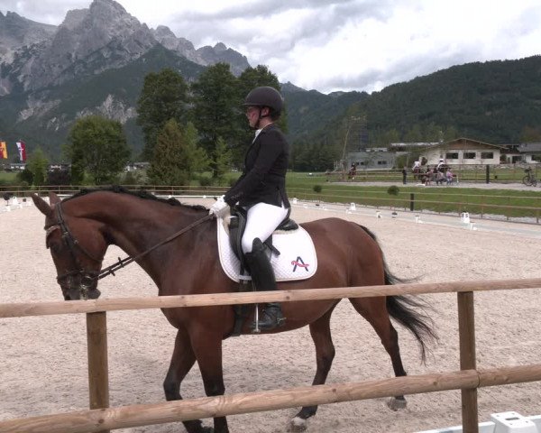 Reitturnier St. Ulrich am Pillersee 2023