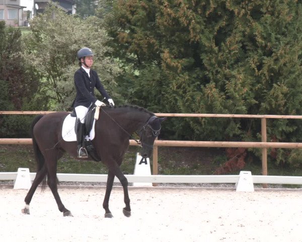 Reitturnier St. Ulrich am Pillersee 2023