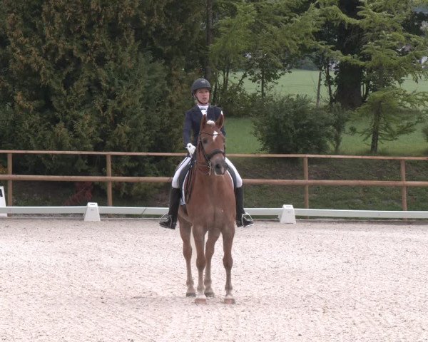 Reitturnier St. Ulrich am Pillersee 2023