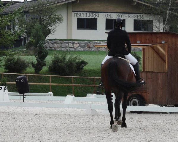 Reitturnier St. Ulrich am Pillersee 2023