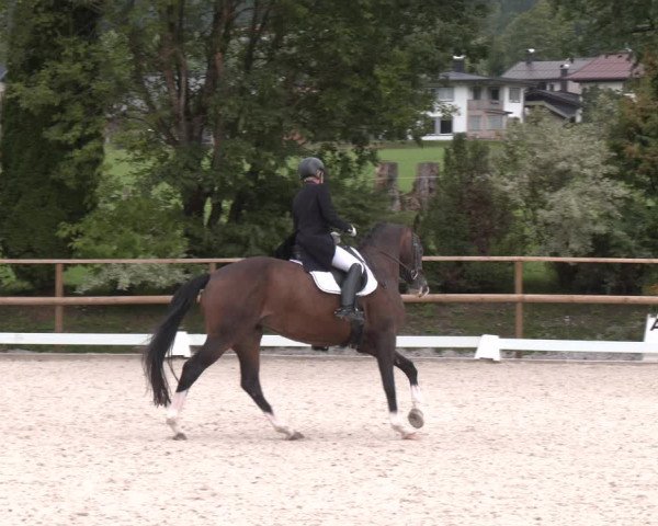 Reitturnier St. Ulrich am Pillersee 2023