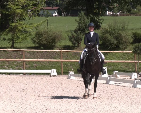 Reitturnier St. Ulrich am Pillersee 2023