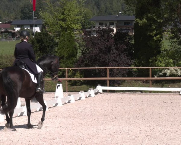 Reitturnier St. Ulrich am Pillersee 2023