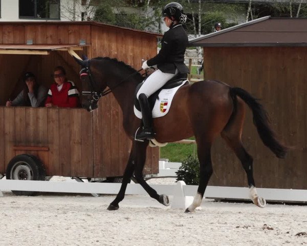 Reitturnier St. Ulrich am Pillersee 2023