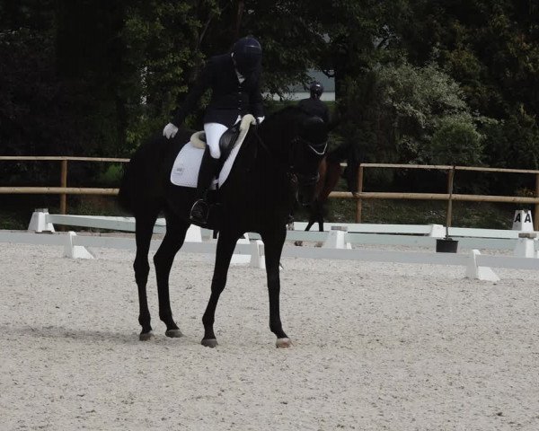 Reitturnier St. Ulrich am Pillersee 2023