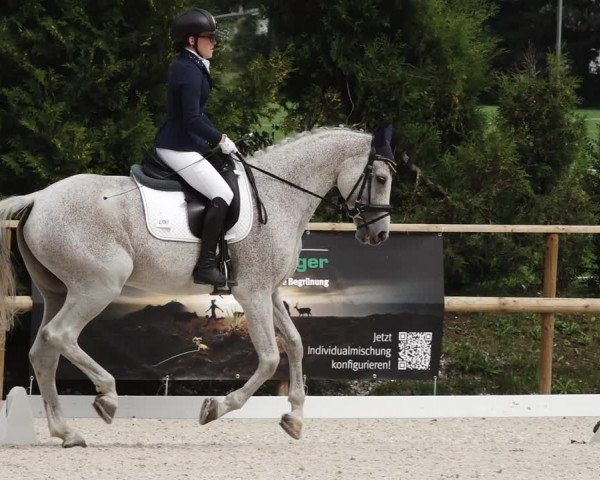 Reitturnier St. Ulrich am Pillersee 2023