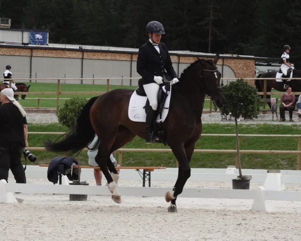 Reitturnier St. Ulrich am Pillersee 2023