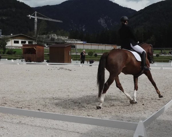Reitturnier St. Ulrich am Pillersee 2023