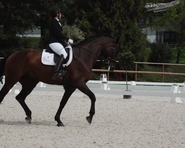 Reitturnier St. Ulrich am Pillersee 2023