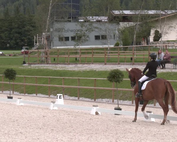 Reitturnier St. Ulrich am Pillersee 2023