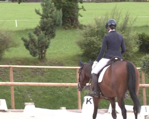 Reitturnier St. Ulrich am Pillersee 2023