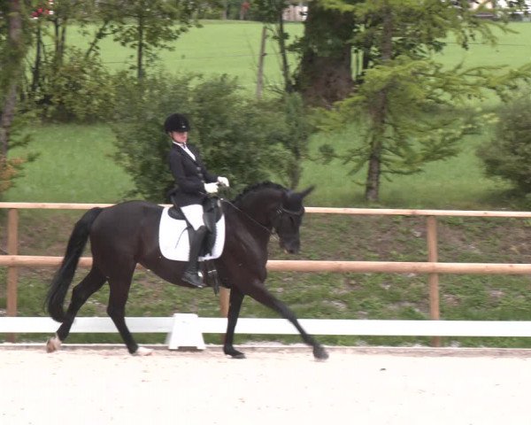 Reitturnier St. Ulrich am Pillersee 2023