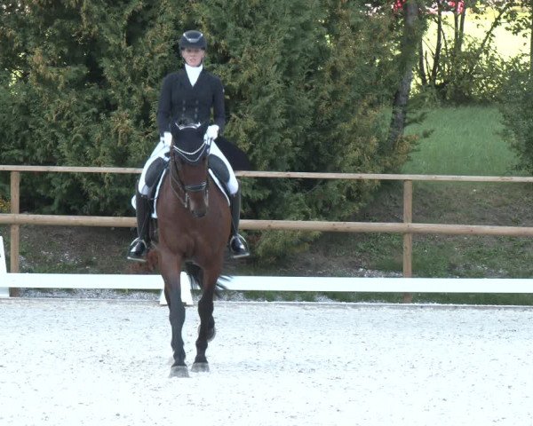 Reitturnier St. Ulrich am Pillersee 2023