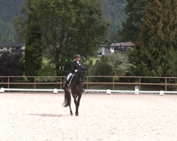 Reitturnier St. Ulrich am Pillersee 2023