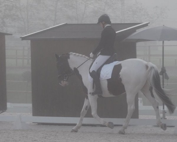 Reitturnier St. Ulrich am Pillersee 2023