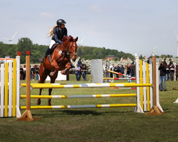 jumper Liesa 107 (German Sport Horse, 2009, from Levisto's Big Boy)