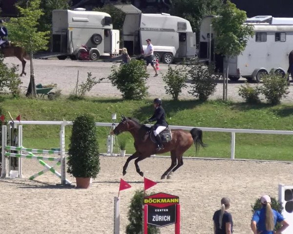 Reitturnier Bülach 2023