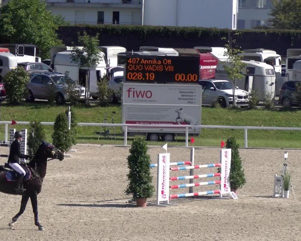 Reitturnier Bülach 2023