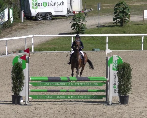 Reitturnier Bülach 2023