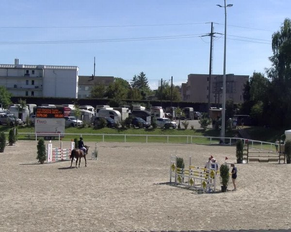 Reitturnier Bülach 2023