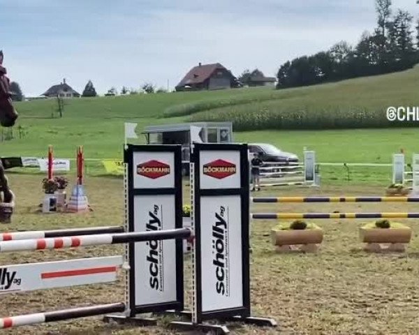 Video von Vallunah CH