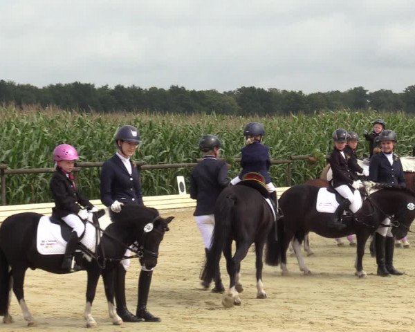 Reitturnier Ostbevern 2023
