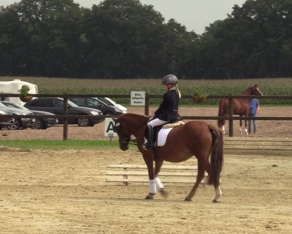 Reitturnier Ostbevern 2023