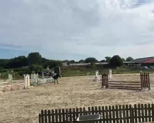 Video of Callina 9