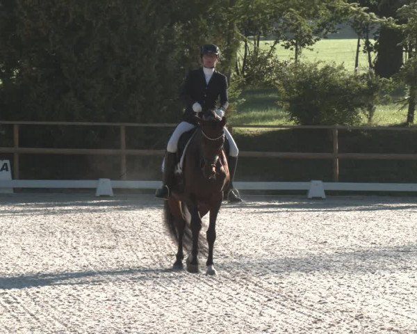 Reitturnier St. Ulrich am Pillersee 2023