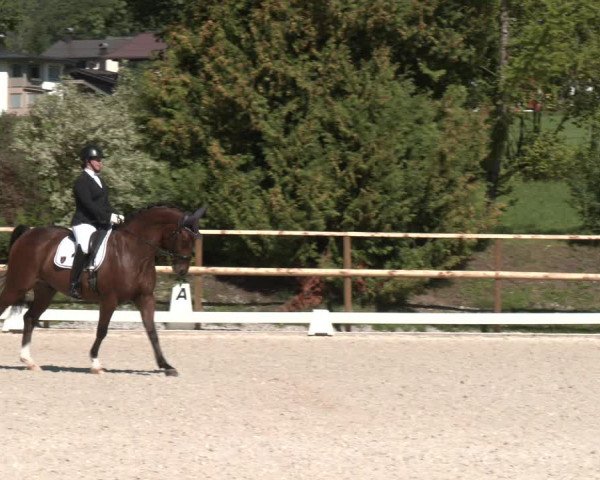 Reitturnier St. Ulrich am Pillersee 2023