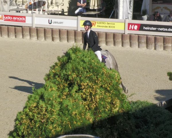 Reitturnier Winterlingen 2023