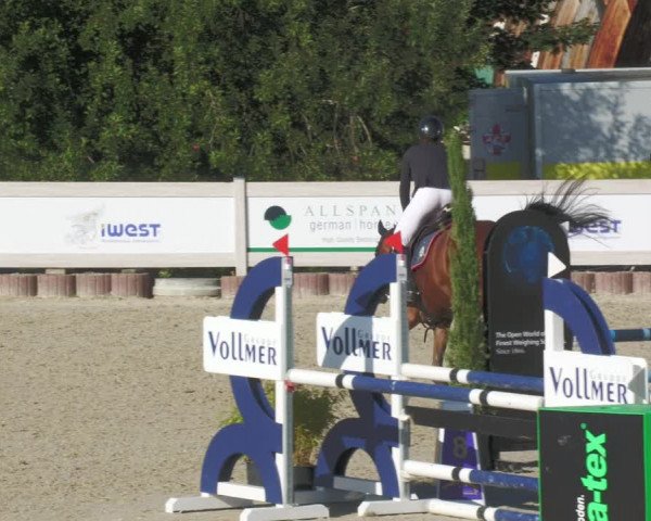 Reitturnier Winterlingen 2023