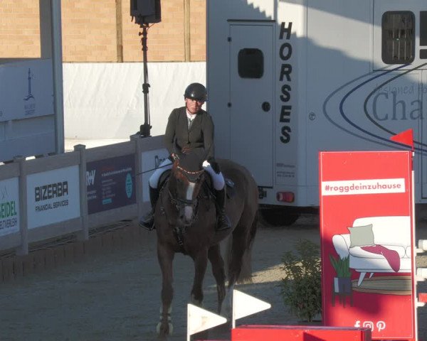 Reitturnier Winterlingen 2023